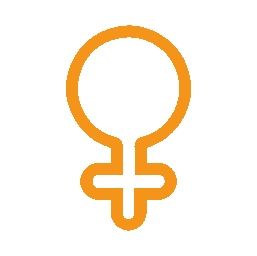 Ico perspec general