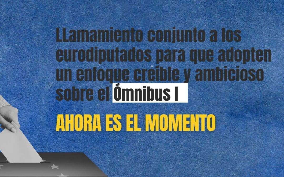 Sociedad civil insta al Parlamento Europeo a adoptar un Ómnibus I ambicioso y alineado con los compromisos de la UE