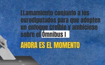 Sociedad civil insta al Parlamento Europeo a adoptar un Ómnibus I ambicioso y alineado con los compromisos de la UE