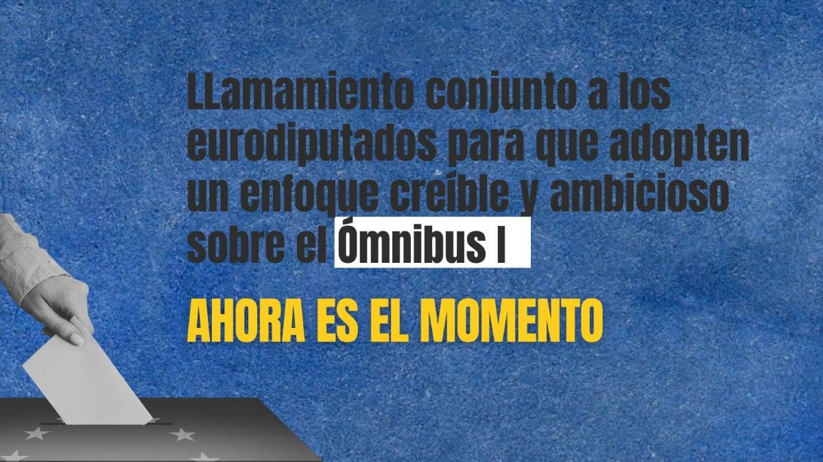 declaración sobre ómnibus I